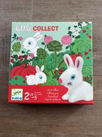 Djeco Little collect gezelschapsspel vanaf 2,5j - nieuw, Ophalen of Verzenden, Nieuw