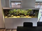 220cmx60cmx70cm Aqualife aquarium, Animaux & Accessoires, Enlèvement, Neuf, Aquarium vide