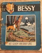 Het Geheim van Rainy Lake     Bessy, Ophalen of Verzenden