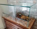 Terrarium 80x50x40, Dieren en Toebehoren, Ophalen, Gebruikt