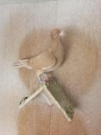 Kleurpostduif, Vrouwelijk, Postduif