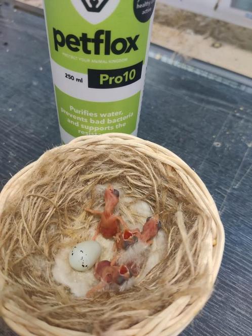 Petflox Pro10 - Voor Alle Diersoorten - Premium Dierenmerk, Dieren en Toebehoren, Vogels | Toebehoren, Nieuw, Ophalen