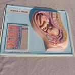 Antieke plaat in reliëf van zwangerschap, Antiek en Kunst, Ophalen