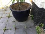 Blauw geglazuurd terracotta bloempot 70 x 52 cm, Tuin en Terras, Bloempotten, 40 cm of meer, Tuin, Ophalen of Verzenden, Terracotta