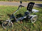 Easy Rider Van Raam elektrische driewielfiets, Ophalen, Zo goed als nieuw, VAN RAAM