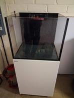 Aquarium Rode Zee 170l, Dieren en Toebehoren, Vissen | Aquariumvissen