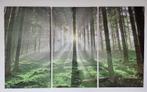 3-luik foto (bos) op canvas, Ophalen, Zo goed als nieuw