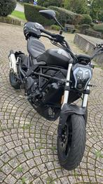 Benelli 502c A2, Motoren, 2 cilinders, Particulier, Minimaal motorrijbewijs A2, 12 t/m 35 kW