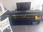 Aquarium ,, groot 220cm, Ophalen, Gebruikt