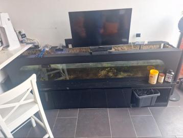 Aquarium ,, groot 220cm beschikbaar voor biedingen