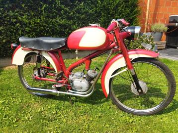 Italiaanse buikschuiver te koop/of ruilen, Enlèvement