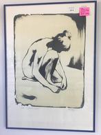 mooie gravure van 70 cm op 50 cm voor 15 euro, Antiek en Kunst, Kunst | Etsen en Gravures, Ophalen of Verzenden