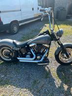Evo ll 1996 chopper, Motoren, Motoren | Harley-Davidson, Particulier, Chopper