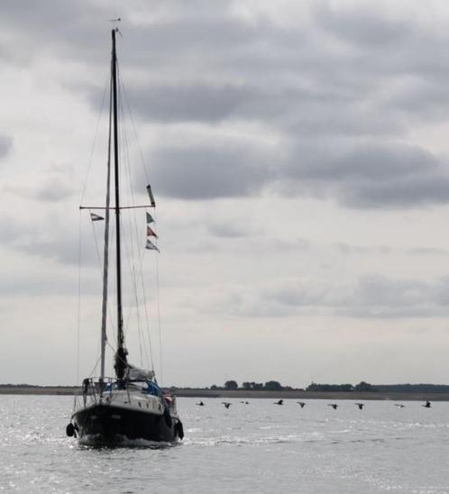 Polyester Kimkieler Westerly Centaur, Watersport en Boten, Kajuitzeilboten en Zeiljachten, Gebruikt, Tourjacht of Cruiser, Polyester