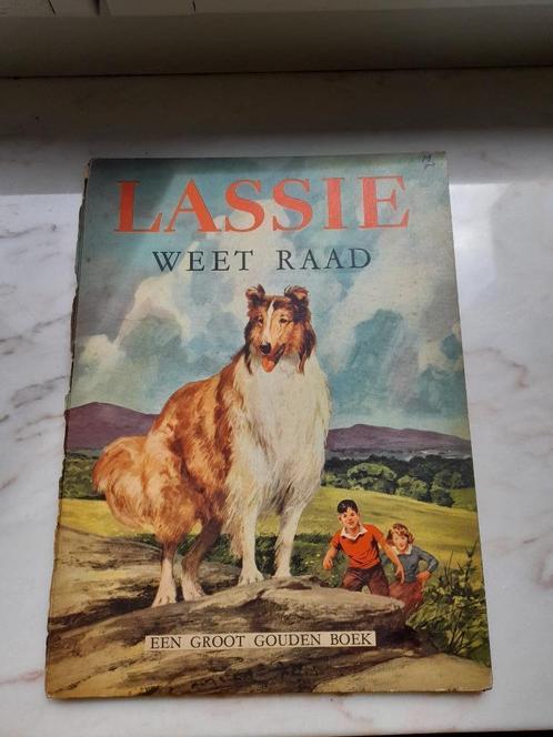 Lassie weet raad - boek 1957, Livres, Livres pour enfants | Jeunesse | 10 à 12 ans, Utilisé, Enlèvement