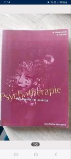 Psychotherapie, van theorie naar praktijk Vandereycken, Boeken, Ophalen of Verzenden, Gelezen