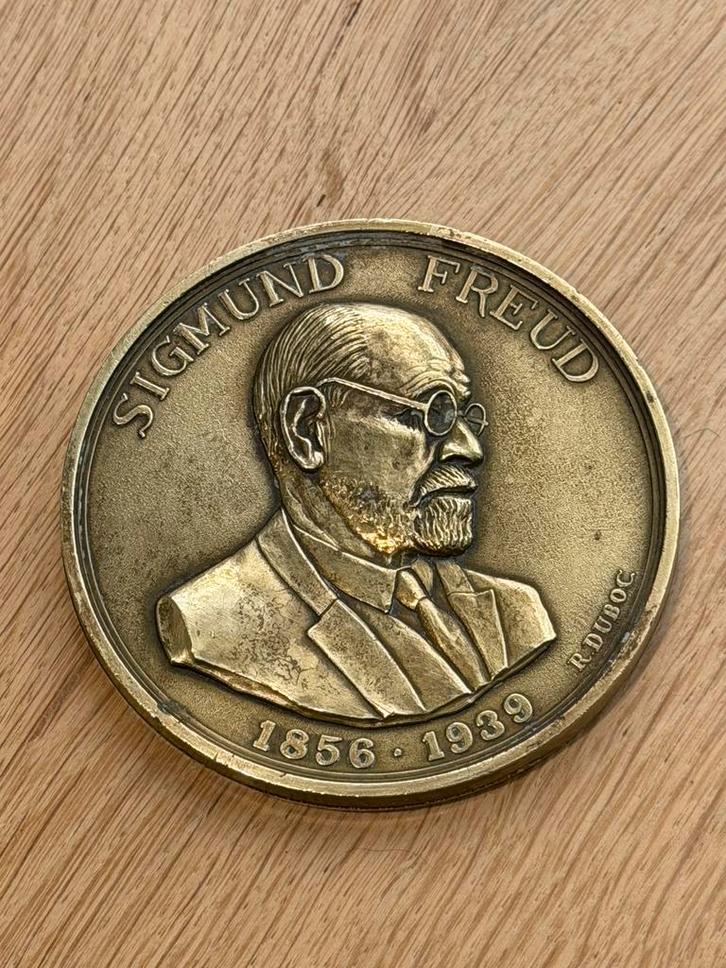 Grande medaille de Freud, Timbres & Monnaies, Pièces & Médailles, Bronze, Enlèvement
