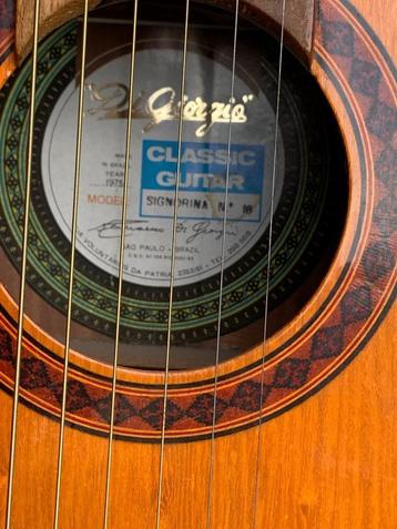 gitaar, Enlèvement, Utilisé, Autres types