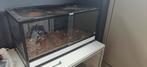 Terrarium Komodo 90cm breed, 45cm diep, 45cm hoog, Ophalen, Zo goed als nieuw