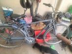Elops, Fietsen en Brommers, Fietsen | Heren | Herenfietsen, Ophalen, Zo goed als nieuw