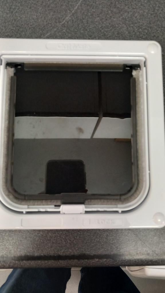 Cats hatch, Dieren en Toebehoren, Ophalen of Verzenden