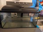 Mooie aqarium 60 liter zonder visjes, Dieren en Toebehoren
