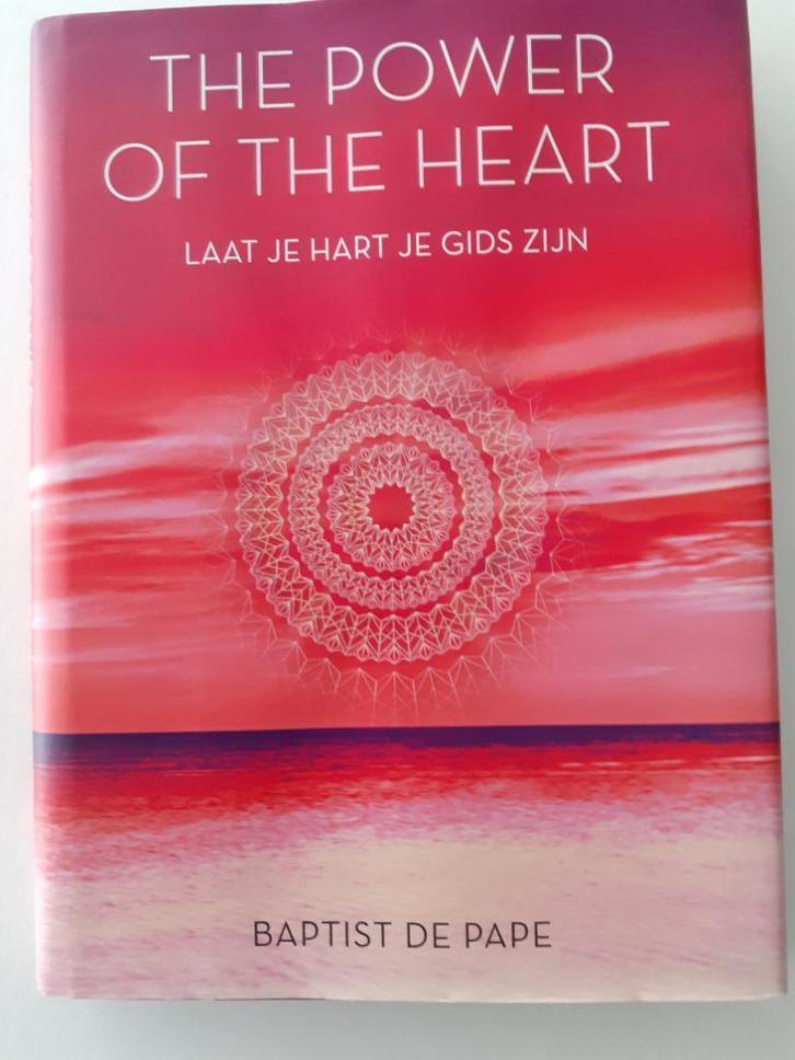 The power of the hart v Babtist de Pape Prijs: € 7, Boeken, Overige Boeken, Zo goed als nieuw, Ophalen of Verzenden