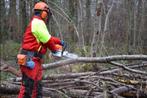 Monsieur offre service bucheronnage , fendage&tronconnage, Offres d'emploi, Autres horaires, À partir de 5 ans, Autres formes