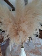 Beige  pluimen 10 stuks, Ophalen