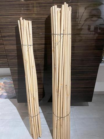 Set decoratieve natuurlijke bamboestokken