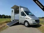 Mercedes-Benz Sprinter 2-paards paardenvrachtwagen Automaat, Animaux & Accessoires, Chevaux & Poneys | Semi-remorques & Remorques