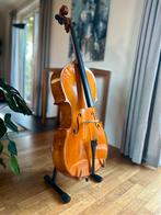 Cello 4/4 - prachtige warme klank, Muziek en Instrumenten, Strijkinstrumenten | Cello's, Ophalen, Gebruikt, 4/4-cello, Met koffer