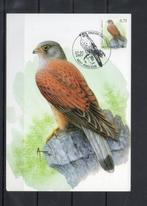Année 2007 : Carte maximum 3609 - Oiseaux - Faucon crecerell, Timbres & Monnaies, Timbres | Europe | Belgique, Enlèvement ou Envoi