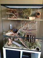 Terrarium / Gerbilarium: Koop een gerbil terrarium, Nieuw, 60 tot 90 cm, Minder dan 75 cm, Hamster