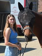 Paardenoppas aangeboden/ trainen, Vacatures, Vacatures | Overige Vacatures