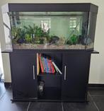 Juwel aquarium met onderkast en inhoud, Dieren en Toebehoren, Ophalen, Gebruikt, Gevuld zoetwateraquarium