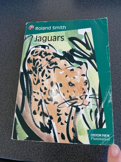 Livre "Jaguars" de Roland Smith, Livres, Livres pour enfants | Jeunesse | 10 à 12 ans, Utilisé, Fiction, Enlèvement ou Envoi