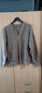 vest met lange mouwen en rits en zakken, Beige, Nieuw, Ophalen of Verzenden, ANDERE
