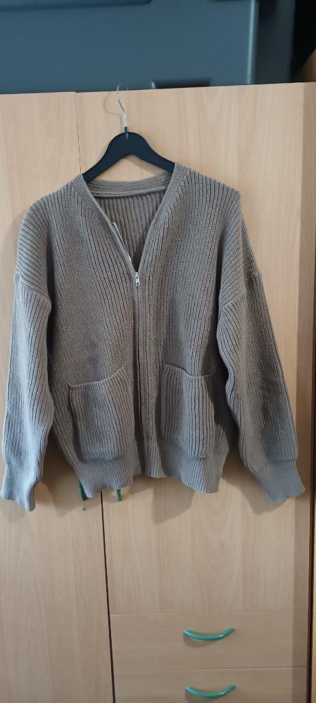 vest met lange mouwen en rits en zakken, Kleding | Dames, Truien en Vesten, Nieuw, Maat 38/40 (M), Beige, Ophalen of Verzenden