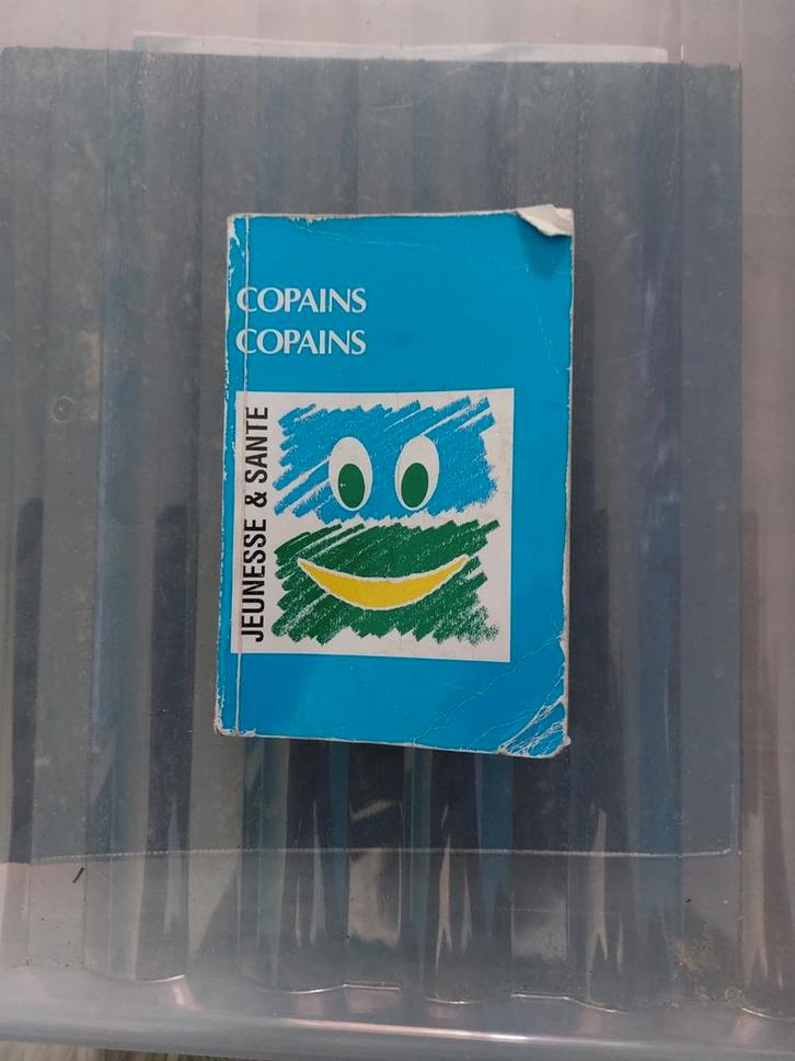 À  VENDRE CARNET DE CHANTS COPAINS, Boeken, Muziek, Gelezen, Ophalen