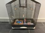 Vogelkooi met parkieten accessoires, Parkiet