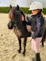 Knappe kinderpony stamboek Shetlander, Dieren en Toebehoren, Pony's, Merrie, Gechipt, Zadelmak, A pony (tot 1.17m)