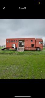 Paarden vrachtwagen