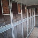 kooi deur, Dieren en Toebehoren, Vogels | Hokken en Kooien, Ophalen of Verzenden, Gebruikt, Aluminium, Volière