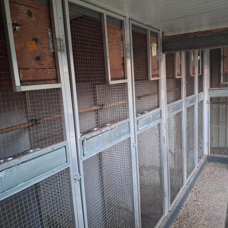 kooi deur, Dieren en Toebehoren, Vogels | Hokken en Kooien, Gebruikt, Volière, Aluminium, Ophalen of Verzenden