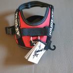 harnais Julius rouge XS neuf, Dieren en Toebehoren, Ophalen of Verzenden, Nieuw