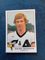 panini sticker Football 78 nr 213, Ophalen of Verzenden, Nieuw, Sticker