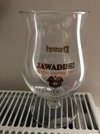 Duvel glas, Verzamelen, Biermerken, Ophalen of Verzenden, Zo goed als nieuw, Glas of Glazen, Duvel