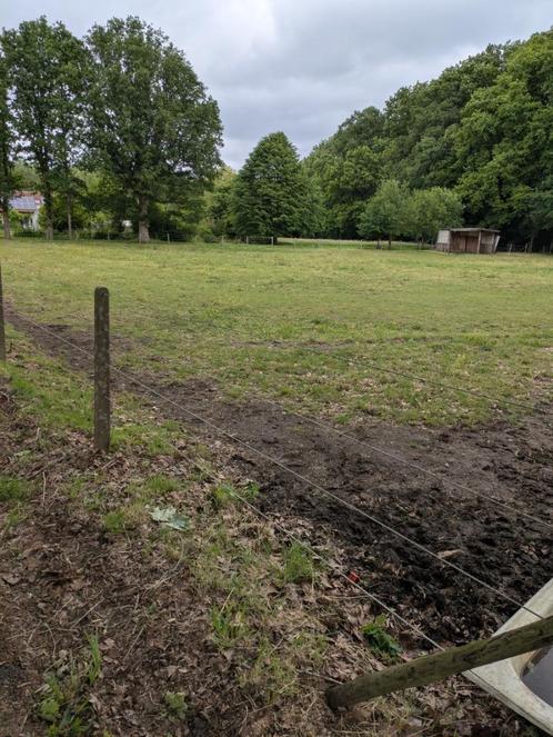 landbouwgrond, Immo, Gronden en Bouwgronden, 1500 m² of meer