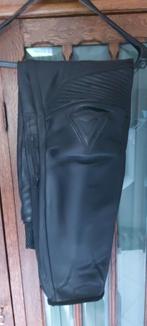 Lederen motorbroek, Motoren, Kleding | Motorkleding, Ophalen, DAINESE, Broek | leer, Heren